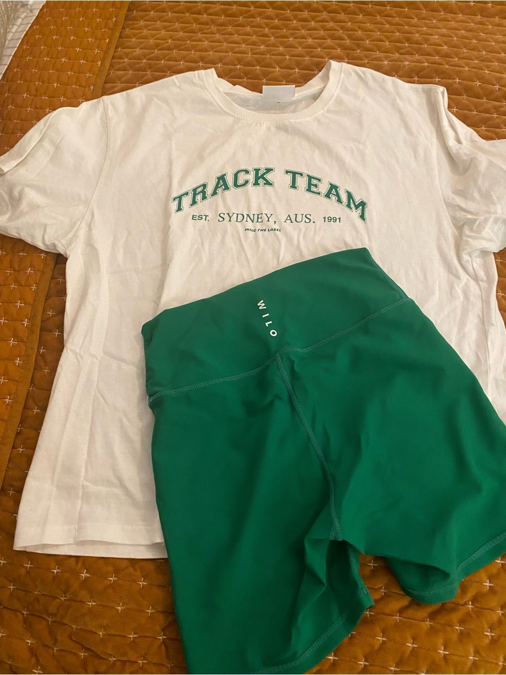 Willow Green High-Rise Bike Shorts and Tshirt set